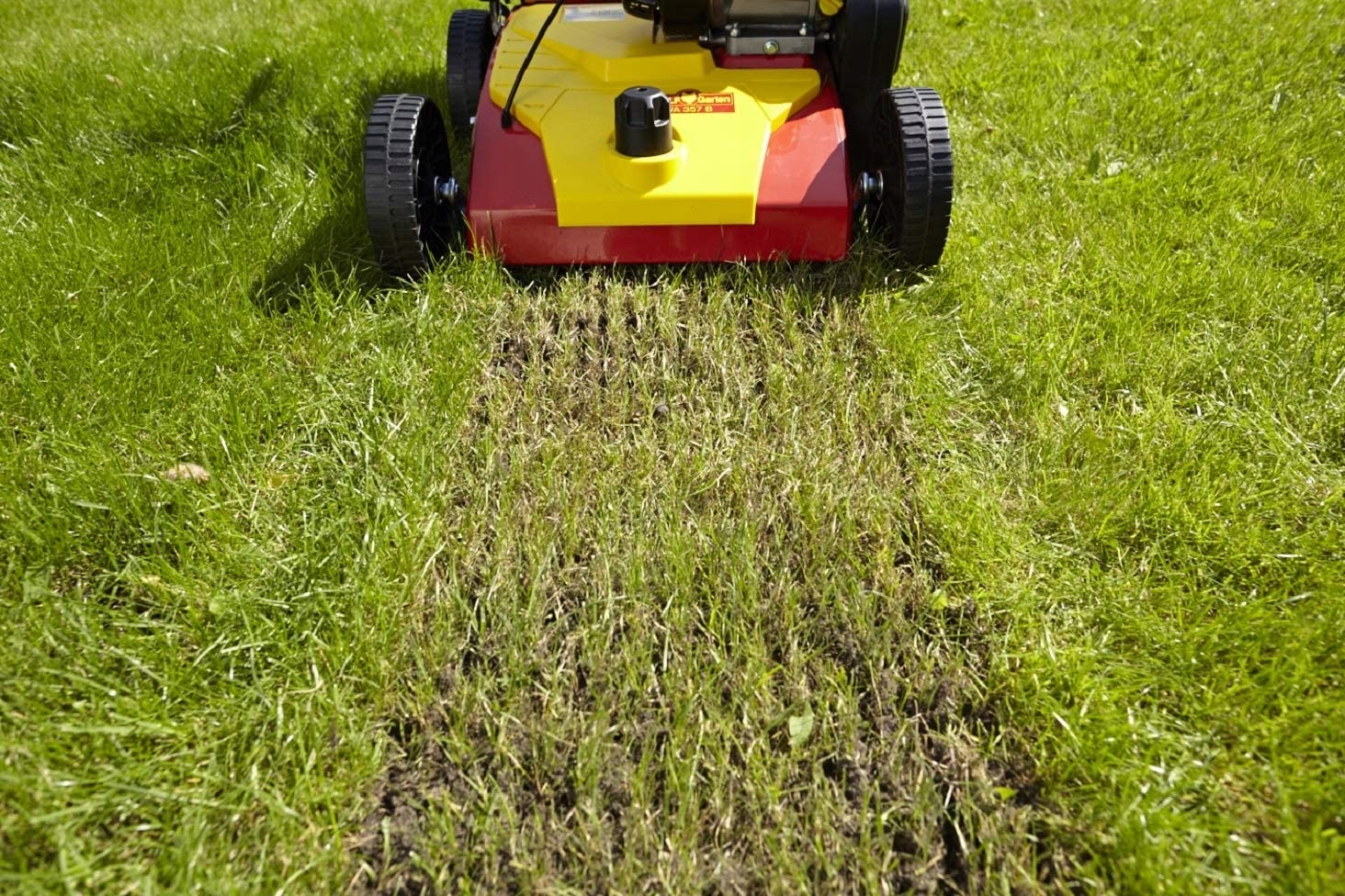 Вертикуттер для газона: эффективное удаление войлока и мха