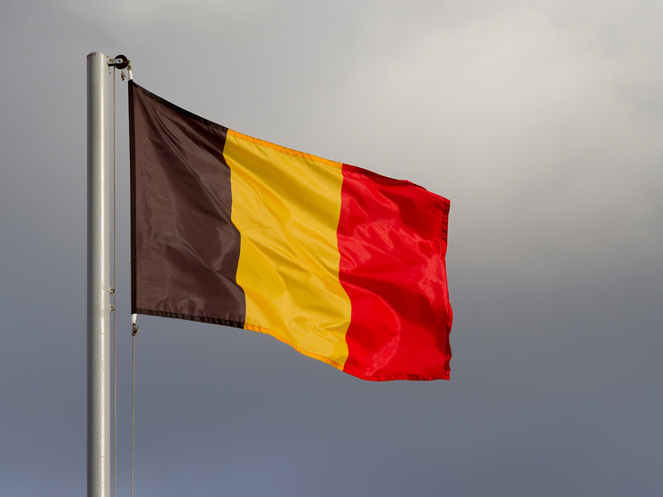 Стала известна позиция Бельгии по использованию замороженных активов России