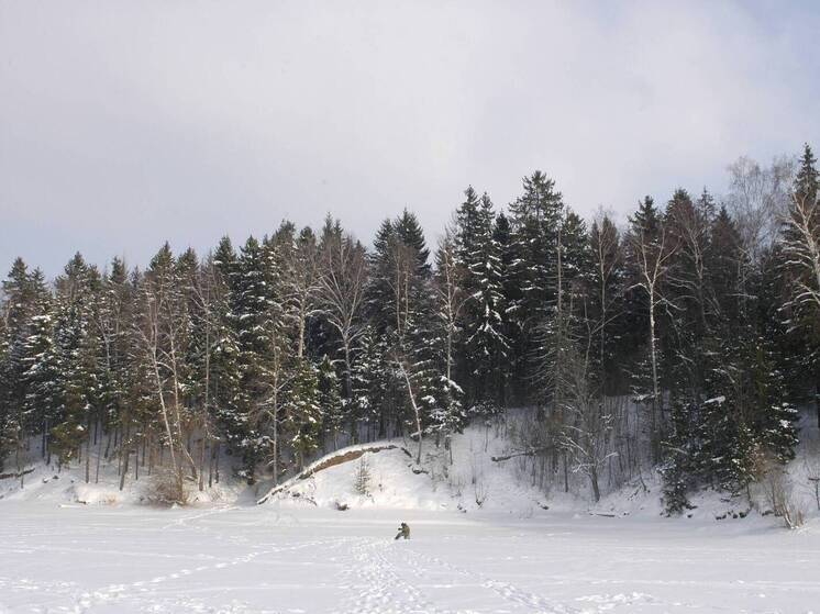 Группа детей попала под Самарой — их ищут с 20 декабря