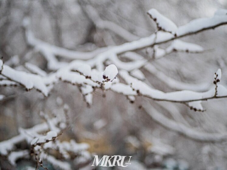 Метеоролог Шувалов рассказал, какая погода ждёт россиян в феврале