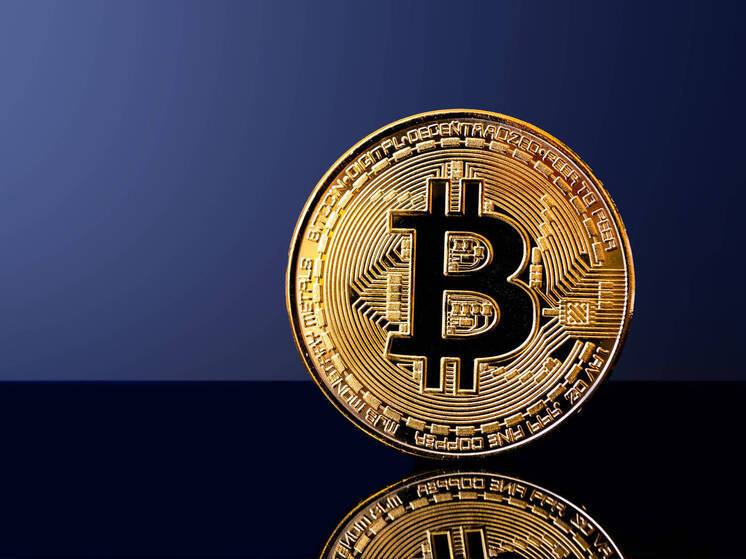 В постсоветской стране самозанятые смогут получать зарплату в криптовалюте