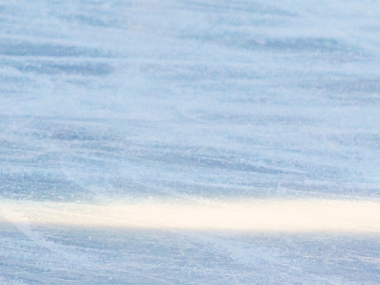 Сборная США после финала Олимпиады почтила память погибшего хоккеиста