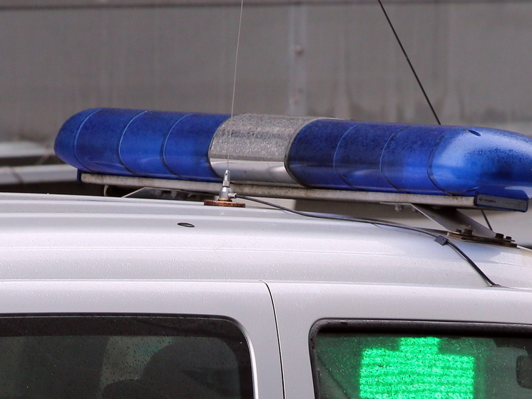 Раскрыта схема прописки мигрантов через взлом «Госуслуг»