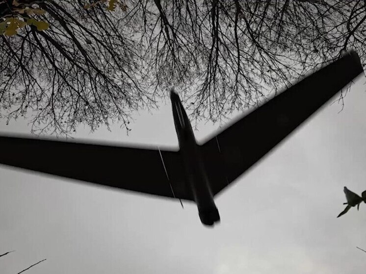 В Запорожской области ВСУ атаковали автомобиль волонтеров из Ростова