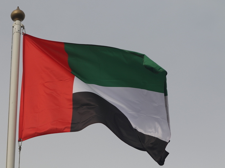 ОАЭ и Саудовская Аравия договорились в сотрудничестве обеспечить безопасность