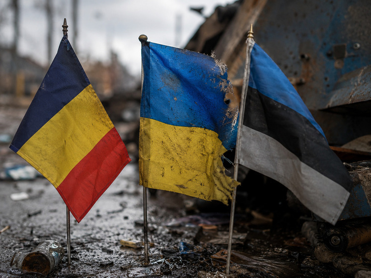Лидеры Румынии и Эстонии поспорили из-за Украины