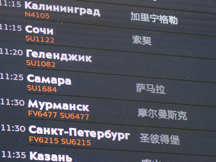Европейская Россия без полётов: закрывались 20 аэропортов за ночь